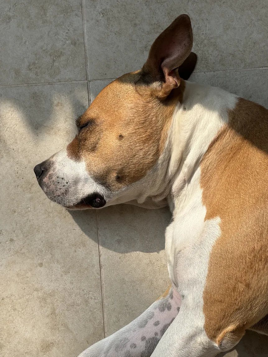 Close-up portrait of Migo