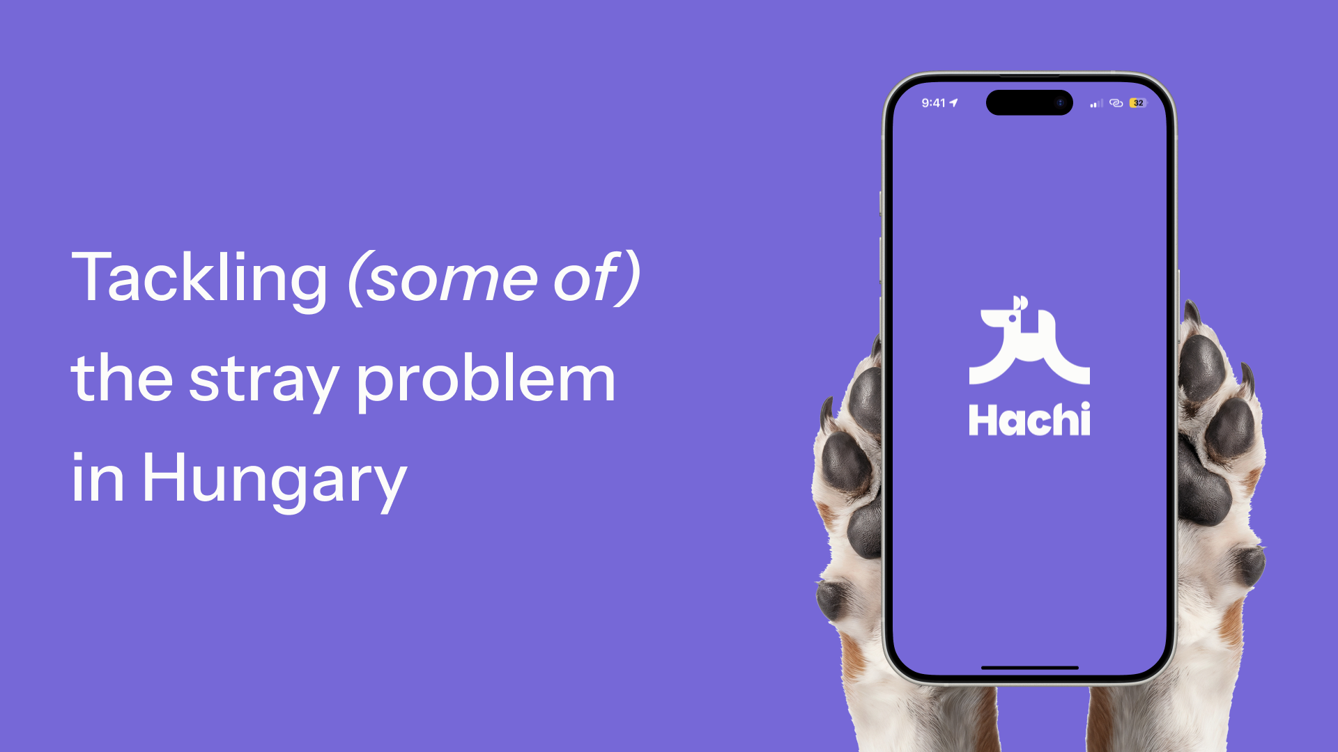 Hachi app opened on a phone, held up by a dog's paws