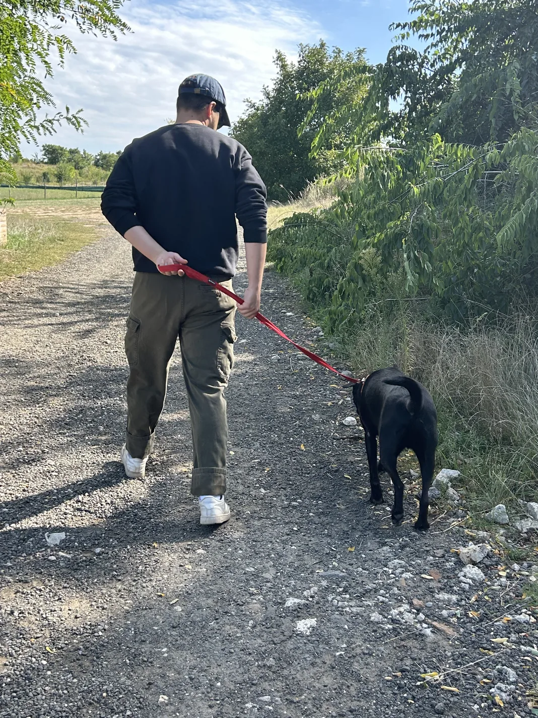 A person walking a dog outdoors