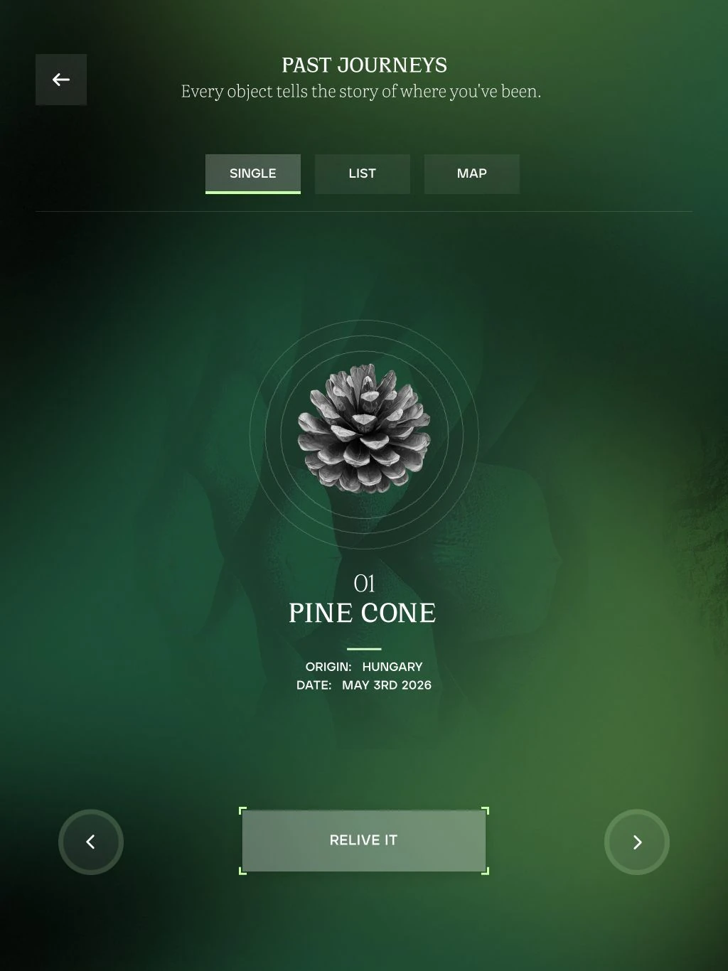 Digital collection card for a pinecone found in Hungary